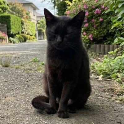 みーーーすけ(粒)さんのプロフィール画像
