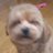 moka_moka1020's profile image