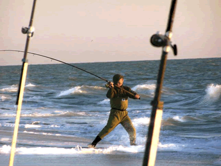 Surf, Pier and offshore fishing reports from the Outer Banks of North Carolina