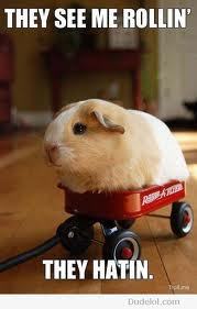 TheboyMe's profile picture. Banana banana banana terracotta banana terracotta terracotta pie.