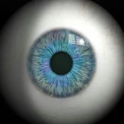 rygonzappercorn's profile picture. 