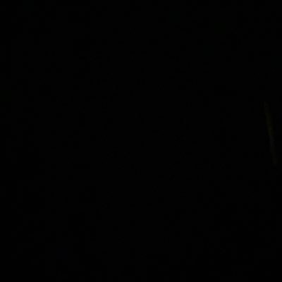 missfreyja2's profile picture. 