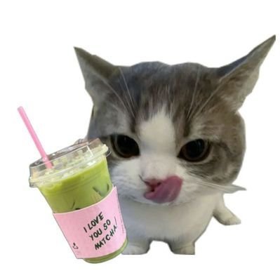 shabiraline's profile picture. 