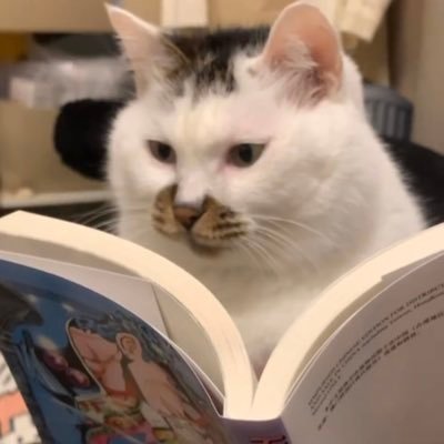 QWERTY67564401's profile picture. 