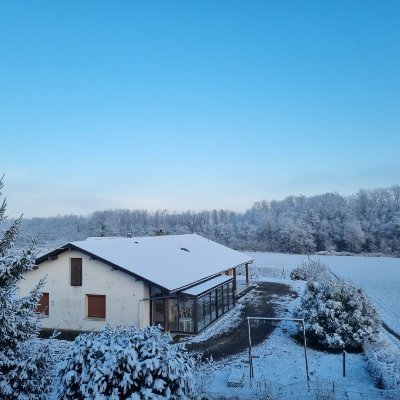 observat0078's profile picture. Rien de spécial