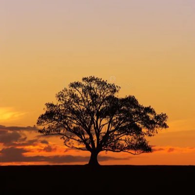 cyrus101010's profile picture. We live in a twilight world.