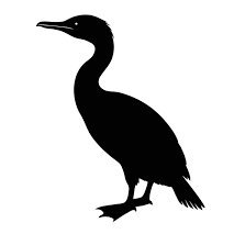 Cormo_rant1's profile picture. Designer
#Designer