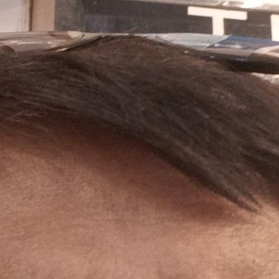 Ashwini14294497's profile picture. 