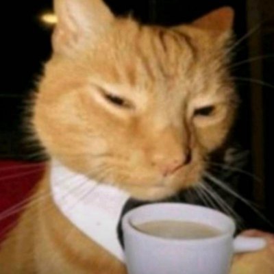 socotroncos's profile picture. 24.