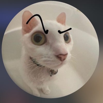 dhyan12596682's profile picture. death