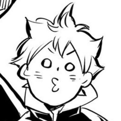 sunshineshooo's profile picture. #日向翔陽 🍊 | #shoobudols | 🔞 | sparks collector ✨