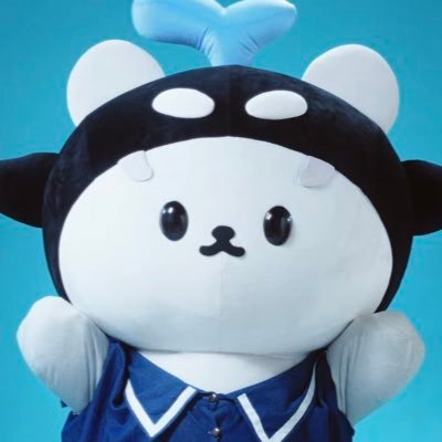 Polcasan Dreamies 🩵