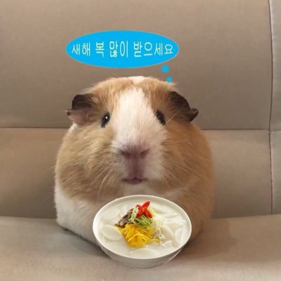 o3o_kiyo77's profile picture. 하루종일 ㅈ뺑이 치고잇다
