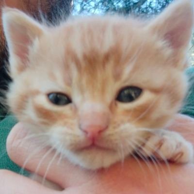 and_sclique's profile picture. Just a normal guy