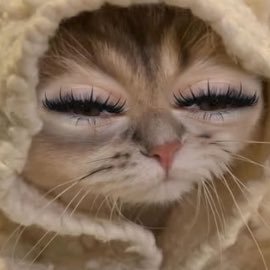 QCQ199's profile picture. 