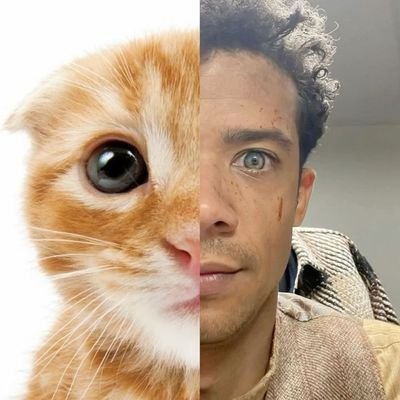 gabezdrac's profile picture. We shan’t be parted now. It’s finished.