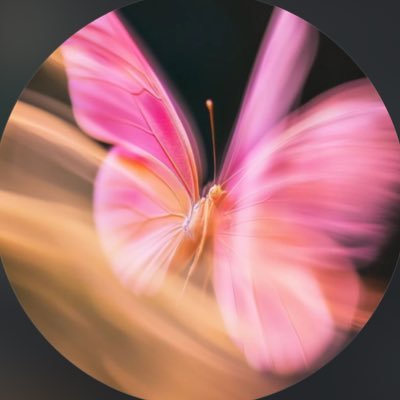 h_444xh's profile picture. 👩🏻‍🔬