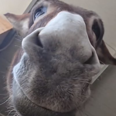 Handout80's profile picture. Life begins at the end of your comfort zone. and your breakthrough starts through human guidance and machine learning, you’d be grateful to hit a follow back.🐙