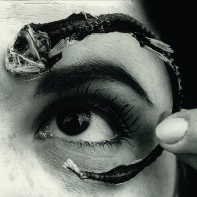 moka24241008's profile picture. 