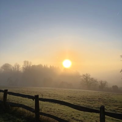 LaurenceBa37952's profile picture. looking for an owner #findom