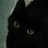 memory_sz52's profile image