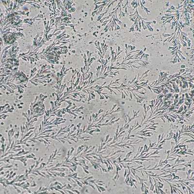 ZdrowaJoanna's profile picture. l