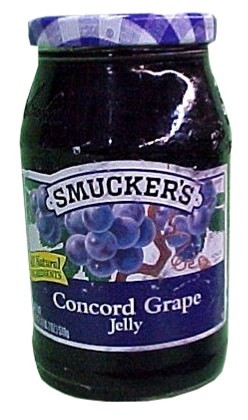 JellyInMyHair's profile picture. A dog is a dog not a sloth.