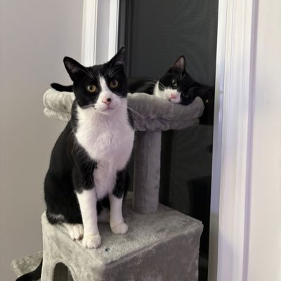 DanFromTheSkies's profile picture. Dad. Airline pilot.