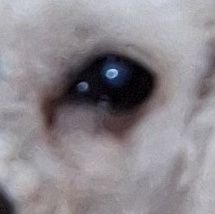 mariorenato85's profile picture. 