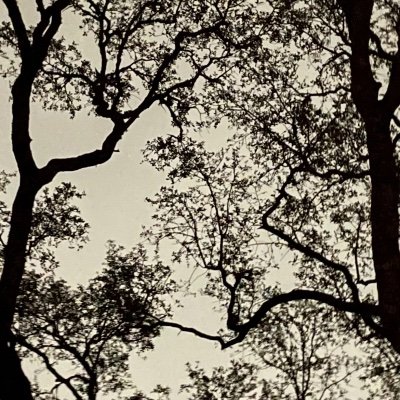 Ryan45732687174's profile picture. Young guy looking for fun