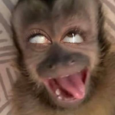 macellowx's profile picture. busy looking for something to do