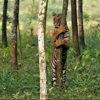 ghostlent25's profile picture. 