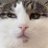 francepaprika's profile image