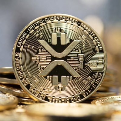 1Love4allbeings's profile picture. Some harmonies are so beautiful they must come from Angels in Haven. Love is the answer, no matter the question. OneLove…