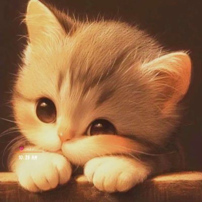 Crazyca43633204's profile picture. حلوه بس شقيه