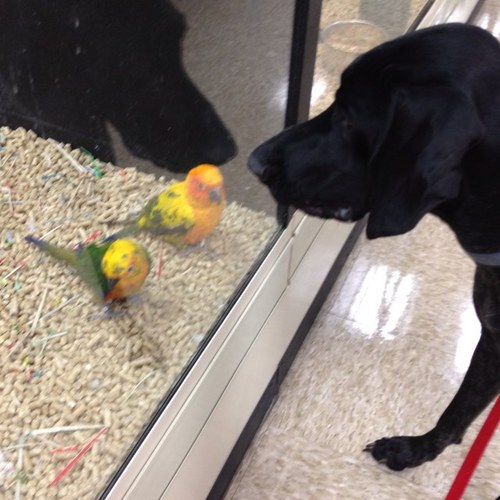 Whuntbulldog's profile picture. 