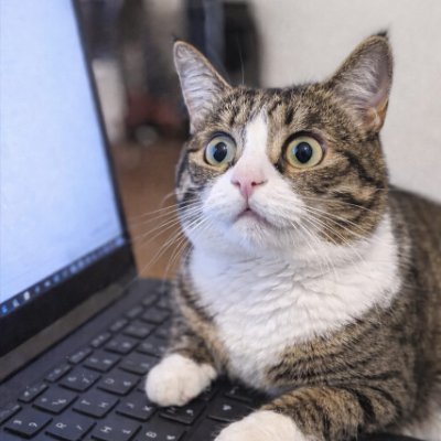 Xtraalaughs's profile picture. Logic left the chat.🤡
Common sense not included.🤠