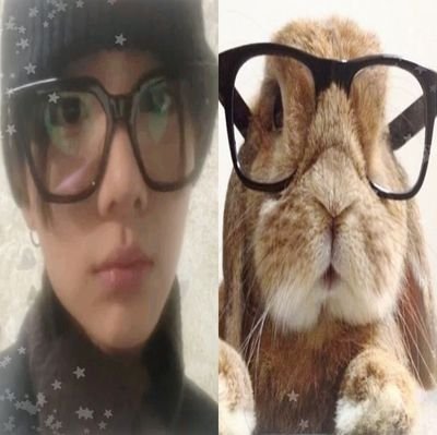 sangwonbelajar's profile picture. haiii :o semangatt kita smuwa (૭ ｡•̀ ᵕ •́｡ )૭