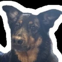 patricia_du_54's profile picture. Vieille #profdesécoles de 62 printemps #ULISECOLE- dirlette en milieu compliqué apprenant. Gameuse noob. J'aime les zombies, les chatons et tous les zanimos 😍