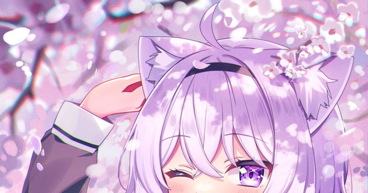 daril312's profile picture. 