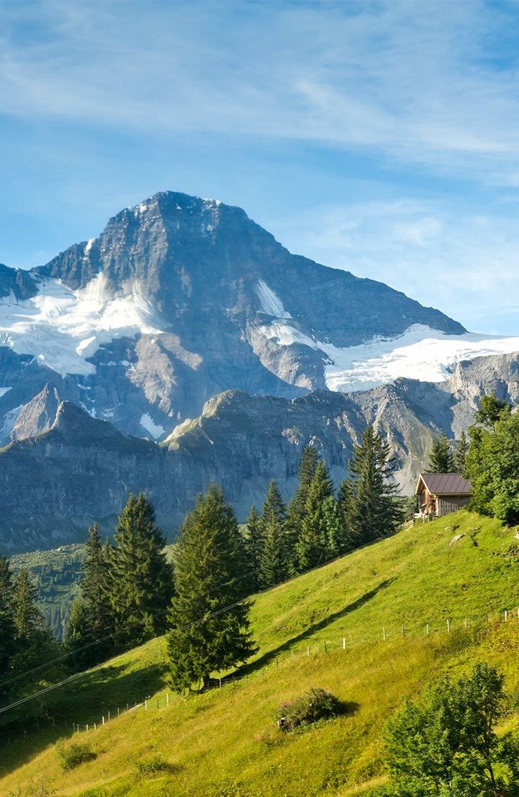 elenabiviano's profile picture. 