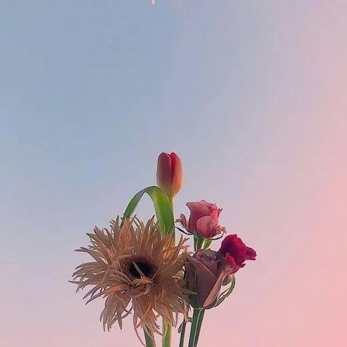 angadkumar17908's profile picture. 