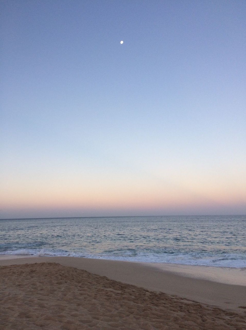 frenchylo's profile picture. 