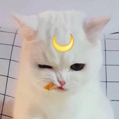 ajitkus74898969's profile picture. मित्र