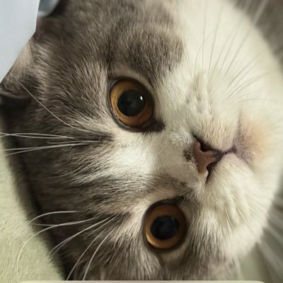 BBussaBunn11's profile picture. 