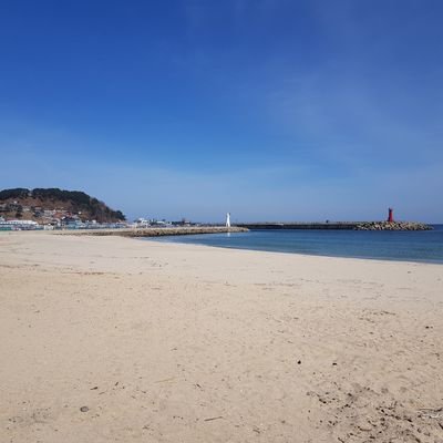 gimyongsu597181's profile picture. 