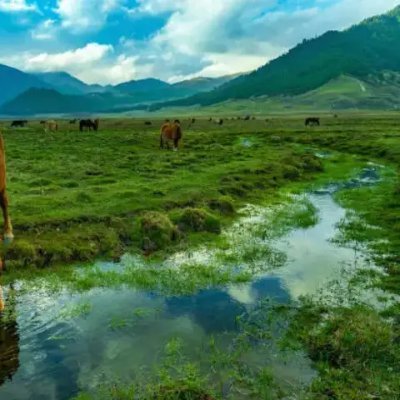 Kargadp_AP's profile picture. 