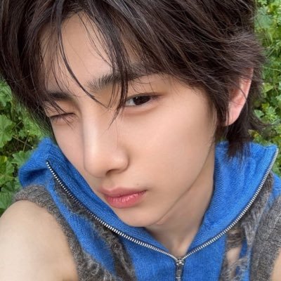 taleofdaisy's profile picture. wreathed in lucidly-woven cottage; magnificent niche ’twas!