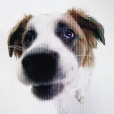 bless079wr's profile picture. 