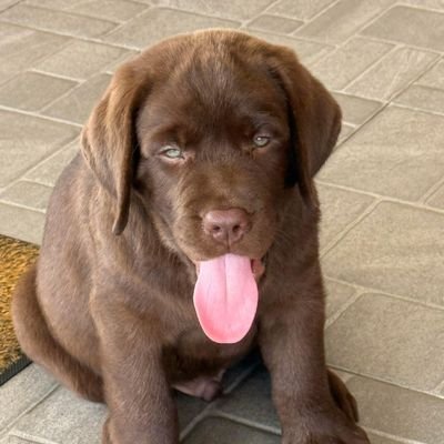 Itcity58344561's profile picture. 158/65   29y 🫶🏻   { ไม่ได้นัดดดดดด }